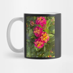 Sister’s garden Mug